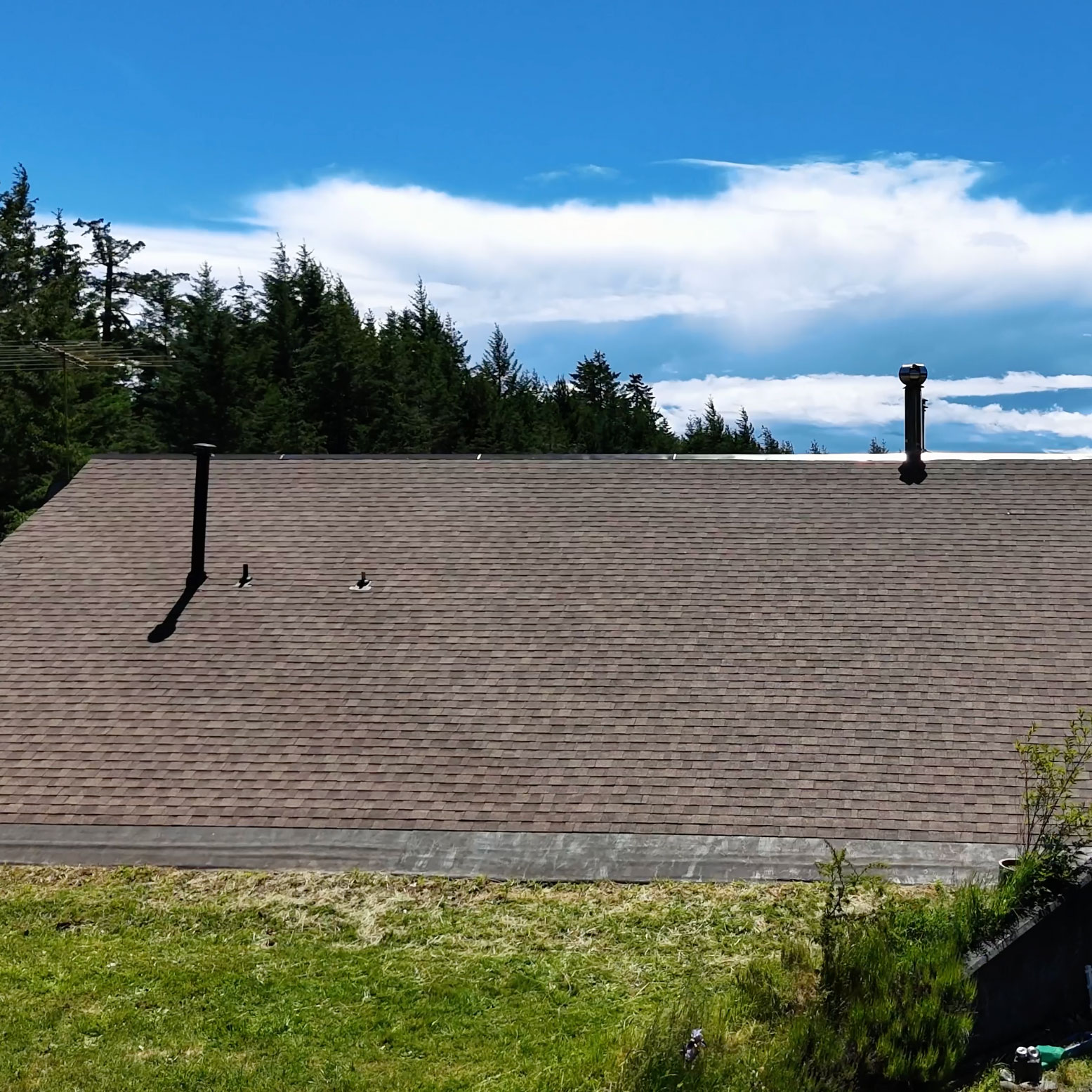 new shingle roof